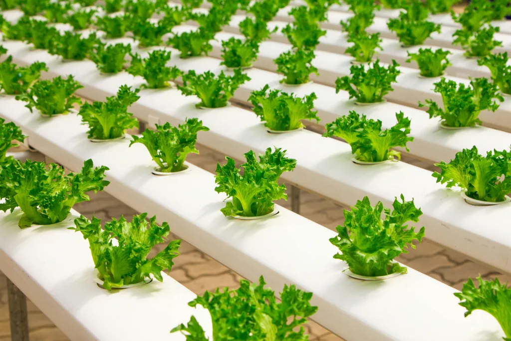 stock smart garden photo