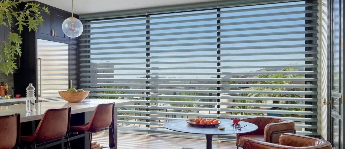 Hunter Douglas Powerview Shades